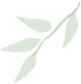 https://bcn.135editor.com/files/images/editor_styles/2dc0d8b112ab525a9a5c05bc37ff68e6.png